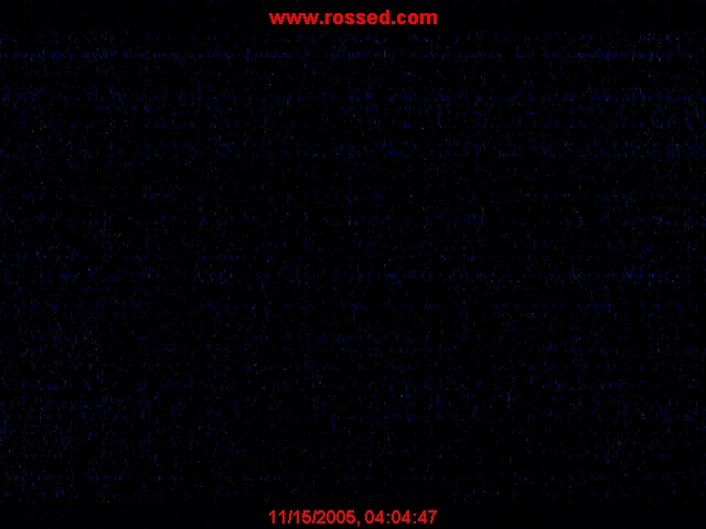 Ross Olson Webcam